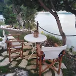 Costa *